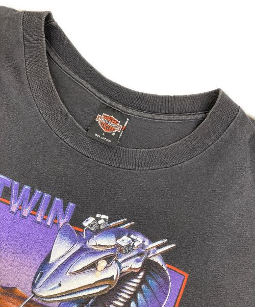 HARLEY-DAVIDSON（ハーレーダビッドソン）HARLEY-DAVIDSON (ハーレーダビッドソン) HOLOUBEK プリントTシャツ ブラック サイズ:Lの古着・服飾アイテム