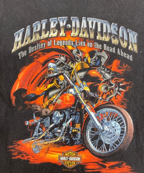 HARLEY-DAVIDSON（ハーレーダビッドソン）HARLEY-DAVIDSON (ハーレーダビッドソン) HOLOUBEK プリントTシャツ ブラック サイズ:Mの古着・服飾アイテム