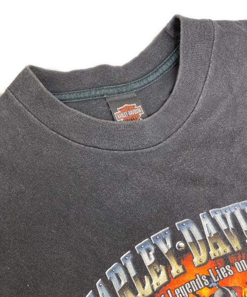 HARLEY-DAVIDSON（ハーレーダビッドソン）HARLEY-DAVIDSON (ハーレーダビッドソン) HOLOUBEK プリントTシャツ ブラック サイズ:Mの古着・服飾アイテム