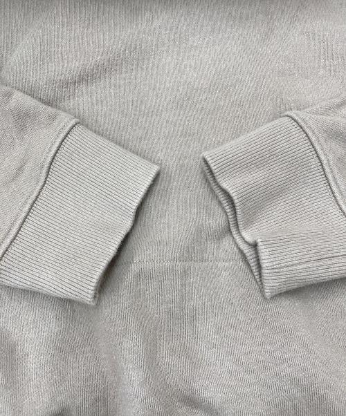 TAIN DOUBLE PUSH（タイン ダブルプッシュ）TAIN DOUBLE PUSH (タイン ダブルプッシュ) TAIN SWEAT HEAVY HOODIE 21TN-PK43 ベージュ サイズ:Lの古着・服飾アイテム