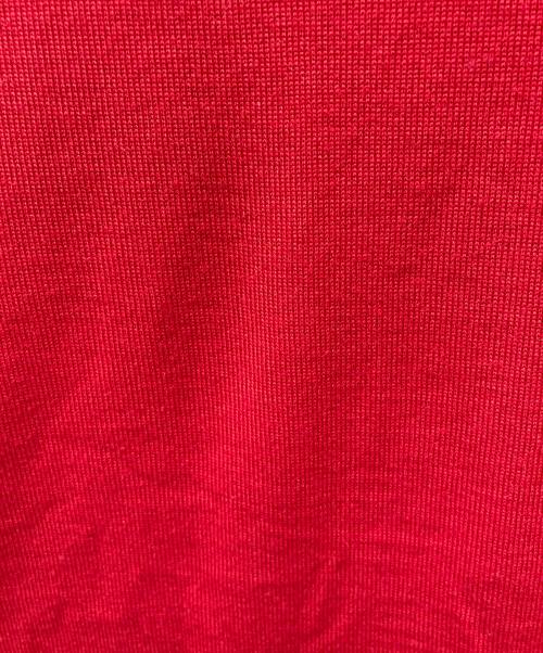 Salvatore Ferragamo（サルヴァトーレ フェラガモ）Salvatore Ferragamo (サルヴァトーレ フェラガモ) ニット レッド サイズ:Mの古着・服飾アイテム