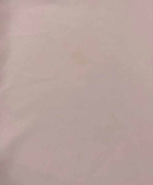 TOMORROW LAND collection（トゥモローランドコレクション）TOMORROW LAND collection (トゥモローランドコレクション) ポリエステルアムンゼン ボウタイブラウス ベージュ サイズ:36の古着・服飾アイテム