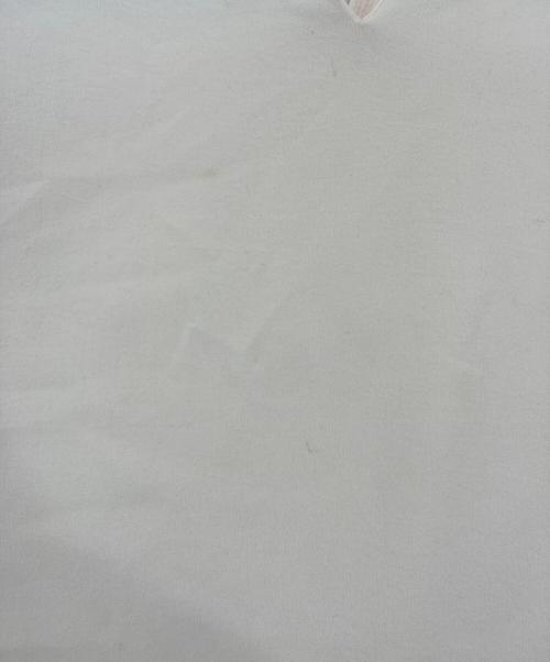 TOMORROW LAND collection（トゥモローランドコレクション）TOMORROW LAND collection (トゥモローランドコレクション) ポリエステルアムンゼン ボウタイブラウス ベージュ サイズ:36の古着・服飾アイテム