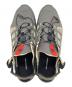 中古・古着 SALOMON (サロモン) TECHAMPHIBIAN 5 グレー サイズ:28cm：6000円