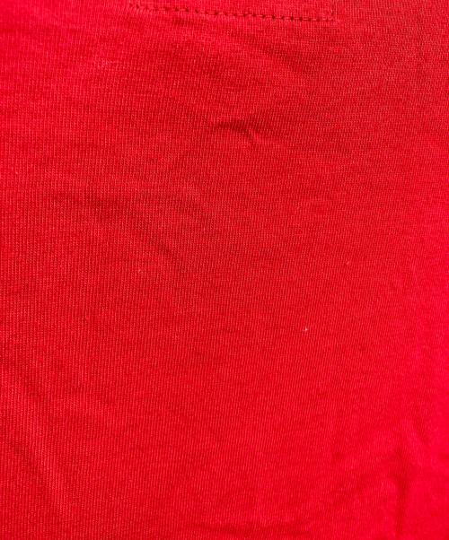 stussy（ステューシー）stussy (ステューシー) Tシャツ レッド サイズ:Sの古着・服飾アイテム