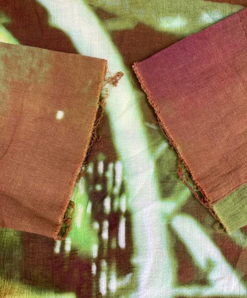PAMM（パム）PAMM (パム) たしかにそこにあった夜のガーゼトップスロングスリーブカットソー 黄緑 サイズ:Fの古着・服飾アイテム