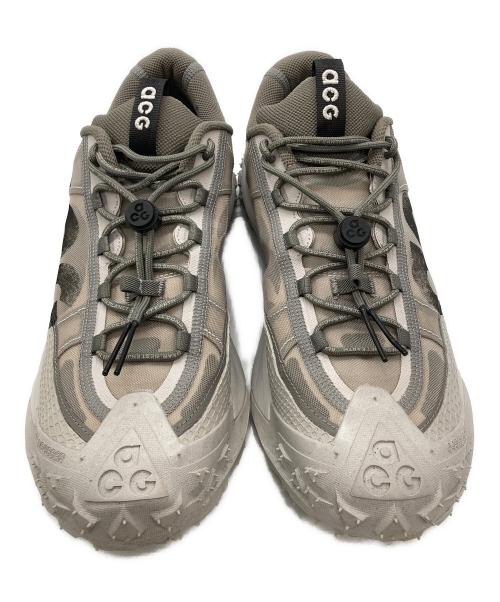 NIKE ACG（ナイキエーシージー）NIKE ACG (ナイキエージーシー) Mountain Fly 2 Low グレー サイズ:28.5の古着・服飾アイテム