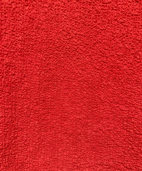 holiday（ホリデー）HOLIDAY (ホリデー) BONDING FLARE PANTS レッドの古着・服飾アイテム