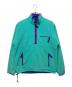 Patagonia（パタゴニア）の古着「80’S グリーセードプルオーバージャケット」｜ブルー×エメラルドグリーン