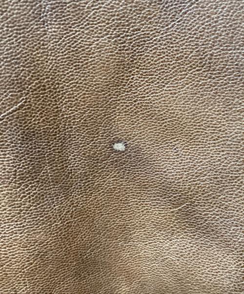 Golden Bear（ゴールデンベア）Golden Bear (ゴールデンベア) A-2タイプレザージャケット ブラウン サイズ:42の古着・服飾アイテム