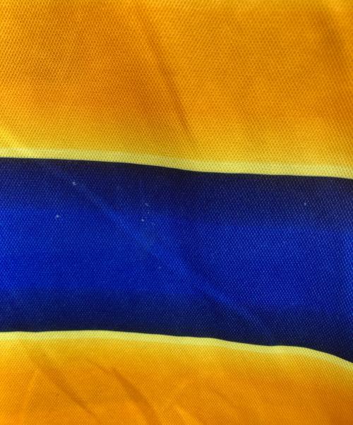 Champion（チャンピオン）Champion (チャンピオン) ゲームシャツ ブルー サイズ:Ｌの古着・服飾アイテム