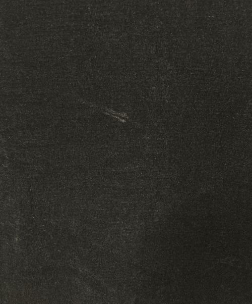 GROUND Y（グラウンドワイ）GROUND Y (グラウンドワイ) FLOCKY HIGH NECK TULLE ブラック サイズ:1の古着・服飾アイテム