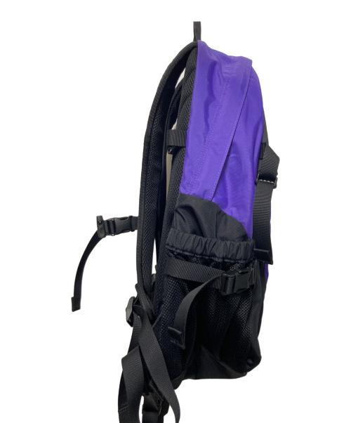 THE NORTH FACE（ザ ノース フェイス）THE NORTH FACE (ザ ノース フェイス) リュック パープルの古着・服飾アイテム