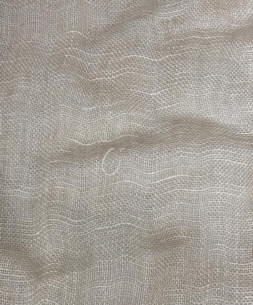 FALIERO SARTI（ファリエロサルティ）FALIERO SARTI (ファリエロサルティ) ストール ベージュの古着・服飾アイテム