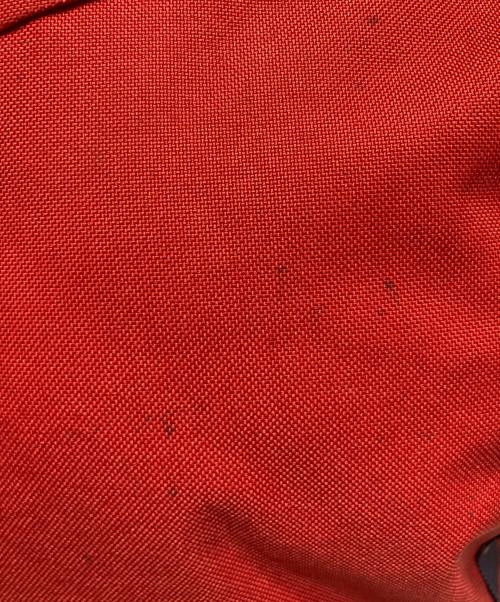 Patagonia（パタゴニア）Patagonia (パタゴニア) リュック レッドの古着・服飾アイテム