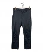Patagoniaパタゴニア）の古着「Transit Traveler Pants」｜グレー