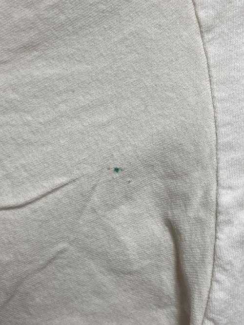 Hanes（ヘインズ）Hanes (ヘインズ) 90'sプリントTシャツ ホワイト×ブルー サイズ:XLの古着・服飾アイテム