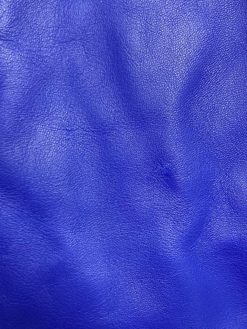 CELINE（セリーヌ）CELINE (セリーヌ) トートバッグ ブルーの古着・服飾アイテム