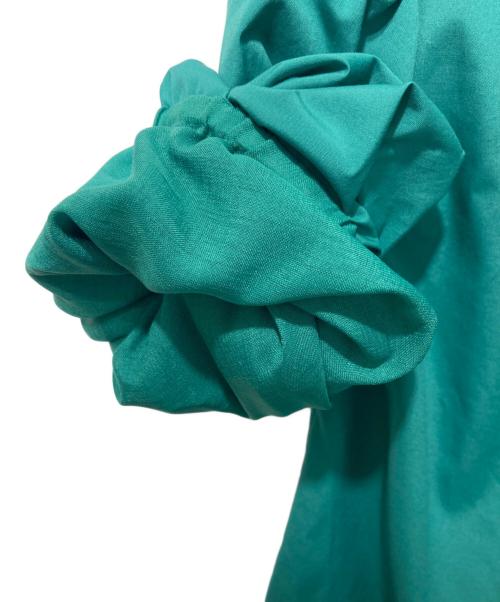 DRESSTERIOR（ドレステリア）DRESSTERIOR (ドレステリア) 前後2WAYバルーンスリーブブラウス グリーン サイズ:38の古着・服飾アイテム