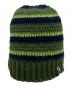 stussy (ステューシー) STRIPE KNIT SKULLCAP グリーン：6000円