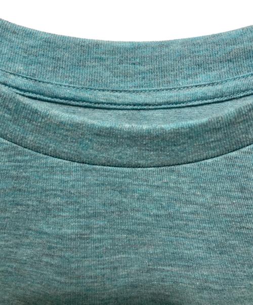 THE NORTH FACE（ザ ノース フェイス）THE NORTH FACE (ザ ノース フェイス) ローストリングTシャツ ブルー サイズ:Lの古着・服飾アイテム
