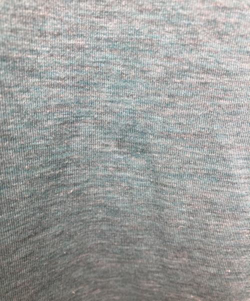 THE NORTH FACE（ザ ノース フェイス）THE NORTH FACE (ザ ノース フェイス) ローストリングTシャツ ブルー サイズ:Lの古着・服飾アイテム
