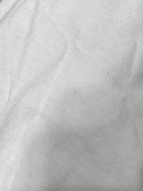 Champion（チャンピオン）Champion (チャンピオン) VARIOUS ARTIST プリントロングスリーブカットソー ホワイト サイズ:Ｌの古着・服飾アイテム