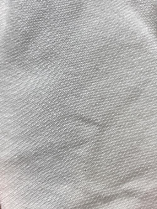 Patagonia（パタゴニア）Patagonia (パタゴニア) ファンホッガ・ショーツ ベージュ サイズ:Ｓの古着・服飾アイテム