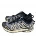 SALOMON (サロモン) XA PRO 3D V9 GTX ブラック サイズ:27：10000円