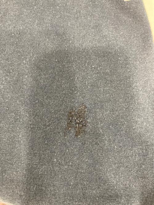 FRUIT OF THE LOOM（フルーツオブザルーム）FRUIT OF THE LOOM (フルーツオブザルーム) バンドTシャツ/ツアーTシャツ ブラック サイズ:Mの古着・服飾アイテム