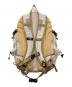 THE NORTH FACE (ザ ノース フェイス) BOREALIS II/ボレアリス 2 ベージュ：8000円
