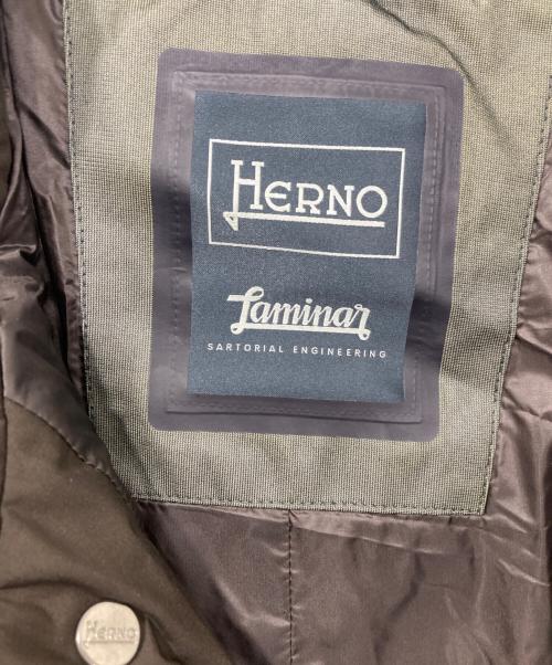 HERNO（ヘルノ）HERNO (ヘルノ) LAMINAR/ラミナー ダウンコート ダークブラウン サイズ:48の古着・服飾アイテム
