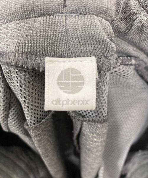 alk phenix（アルクフェニックス）alk phenix (アルクフェニックス) crank vent pants/クランクベントパンツ グレー サイズ:XLの古着・服飾アイテム