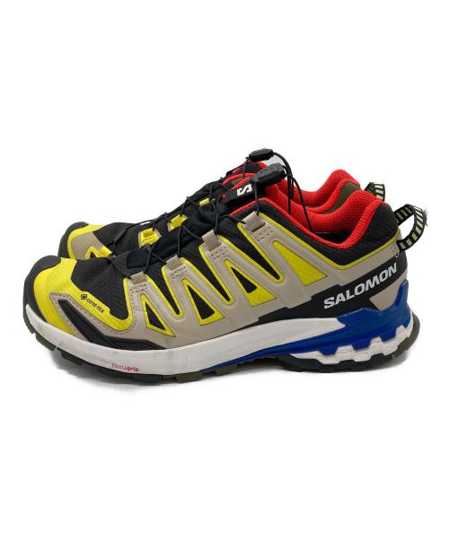 SALOMON（サロモン）SALOMON (サロモン) XA PRO 3D V9 GORE-TEX/ エックスエープロブイナインゴアテックス  マルチカラー サイズ:25cm/UK6.5/EUR40/USA7の古着・服飾アイテム
