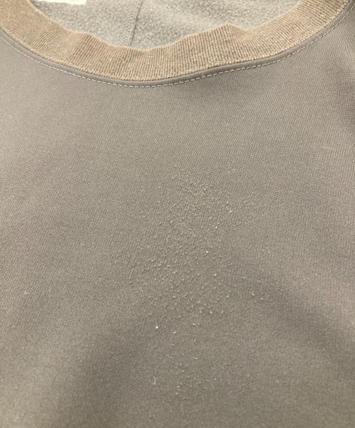 N.HOOLYWOOD（エヌ ハリウッド）N.HOOLYWOOD (エヌ ハリウッド) CREW NECK LONG SLEEVE ロングスリーブカットソー ブラウン サイズ:40の古着・服飾アイテム