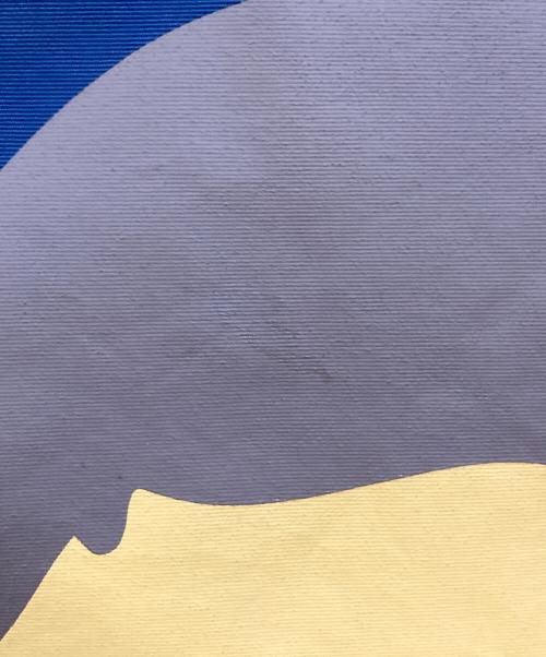 A BATHING APE（ア ベイシング エイプ）A BATHING APE (ア ベイシング エイプ) コーチジャケット ネイビー サイズ:2XLの古着・服飾アイテム