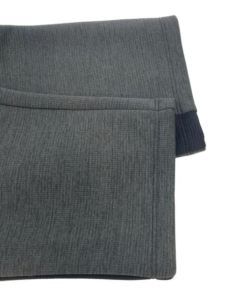 THE NORTH FACE（ザ ノース フェイス）THE NORTH FACE (ザ ノース フェイス) ドライドットアンビションパンツ グレー サイズ:Lの古着・服飾アイテム