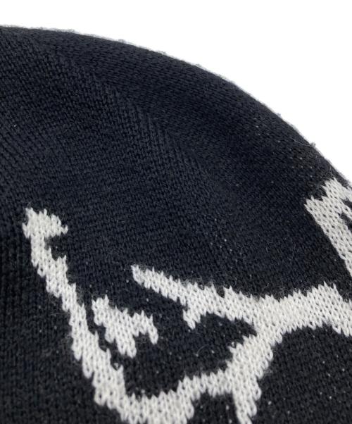 ARC'TERYX（アークテリクス）ARC'TERYX (アークテリクス) バード ヘッド トーク ブラックの古着・服飾アイテム