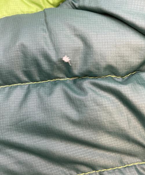 Patagonia（パタゴニア）Patagonia (パタゴニア) Down Sweater/ダウン セーター ゲッコーグリーン サイズ:Mの古着・服飾アイテム