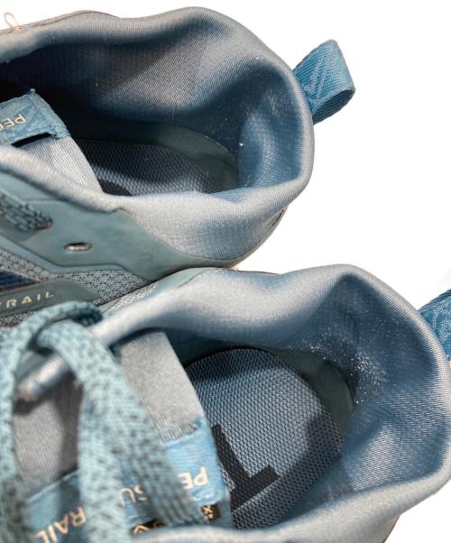 NIKE（ナイキ）NIKE (ナイキ) Pegasus Trail 5 GORE-TEX ブルー サイズ:29の古着・服飾アイテム