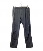 THE NORTH FACEザ ノース フェイス）の古着「アルパインライトパンツ」｜グレー