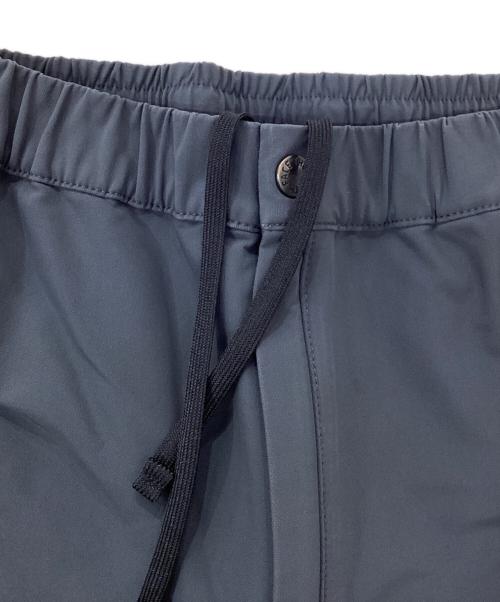 THE NORTH FACE（ザ ノース フェイス）THE NORTH FACE (ザ ノース フェイス) アルパインライトパンツ グレー サイズ:XLの古着・服飾アイテム