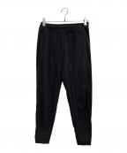 ARC'TERYXアークテリクス）の古着「INCENDO PANT 2」｜ブラック