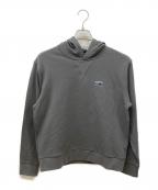 Patagoniaパタゴニア）の古着「Daily Hoody Sweatshirt」｜グレー