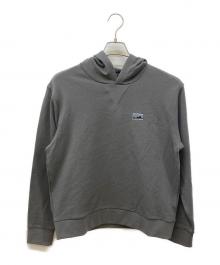 Patagonia（パタゴニア）の古着「Daily Hoody Sweatshirt」｜グレー