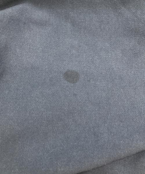 PALACE（パレス）PALACE (パレス) ROSE P3 HOOD ネイビー サイズ:Lの古着・服飾アイテム