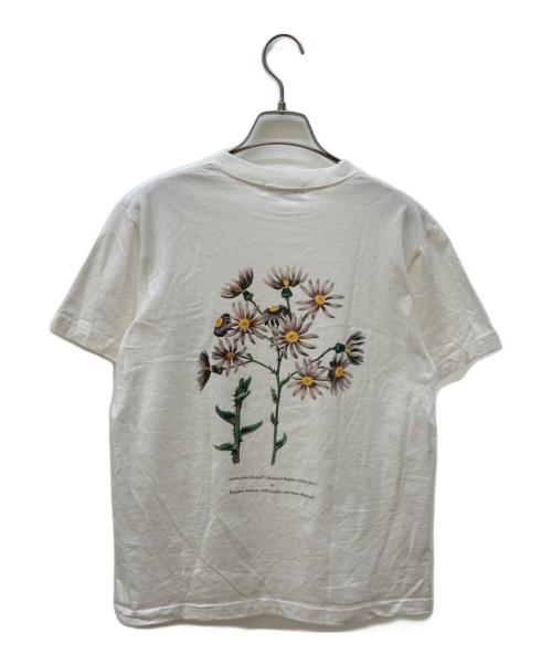 historyofart（ヒストリーオブアート）historyofart (ヒストリーオブアート) Tシャツ ホワイト サイズ:Sの古着・服飾アイテム