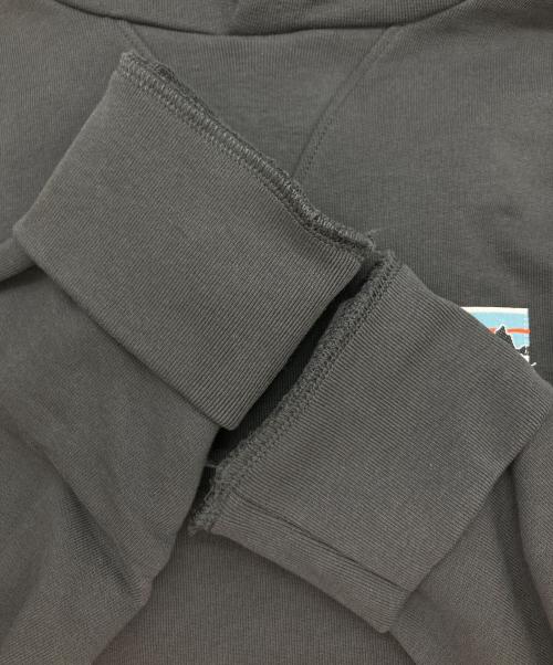 Patagonia（パタゴニア）Patagonia (パタゴニア) デイリー・フーディ・スウェットシャツ スミクロ サイズ:Sの古着・服飾アイテム