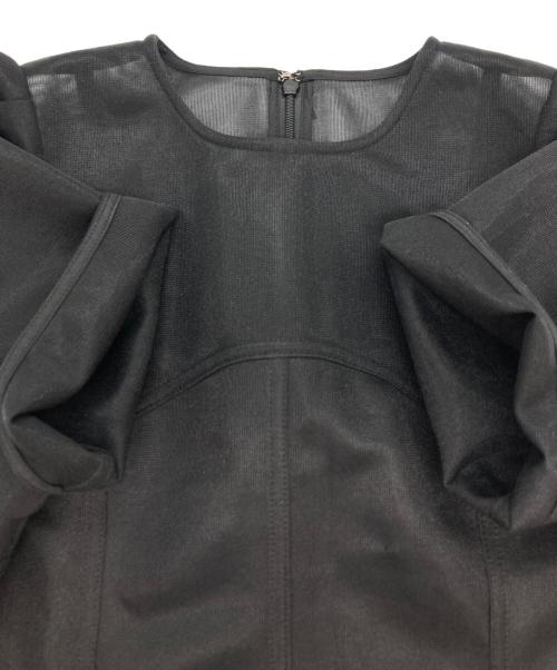 Ameri（アメリ）Ameri (アメリ) SHEER CARDBOARD PUFF SHOULDER TOP ブラック サイズ:FREEの古着・服飾アイテム