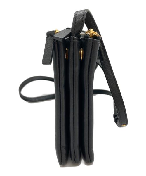 CELINE（セリーヌ）CELINE (セリーヌ) トリオ ラージ/ショルダーバッグ ブラック サイズ:-の古着・服飾アイテム